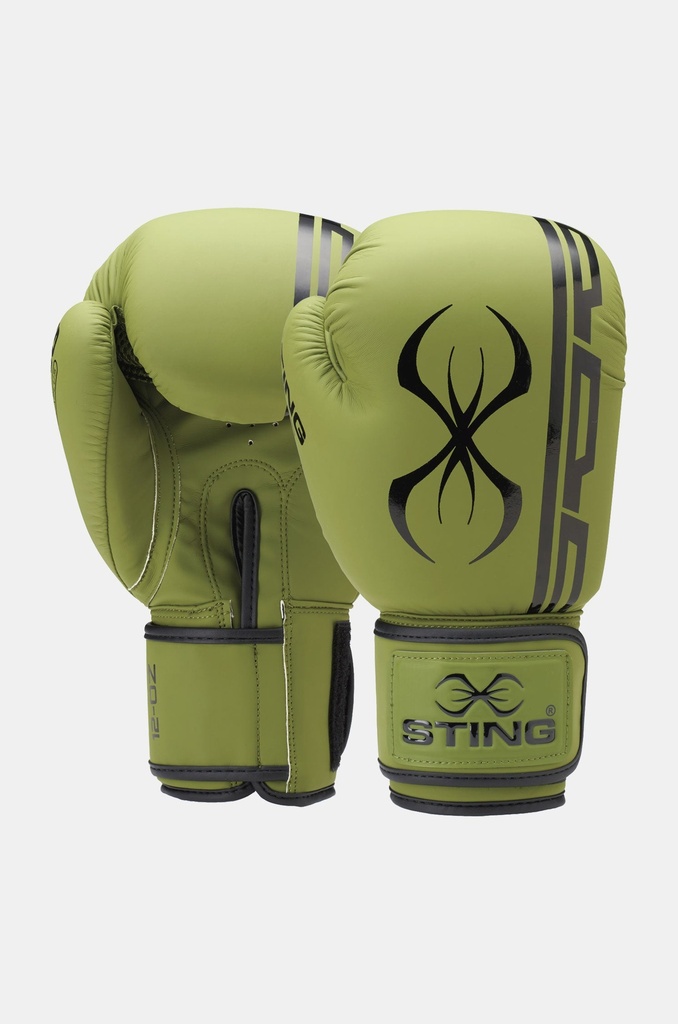 Armaplus Boxing Gloves